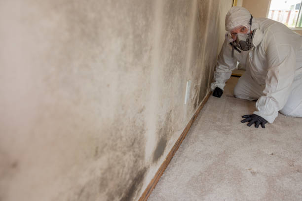 Best Forensic Mold Investigation  in Bernice, LA