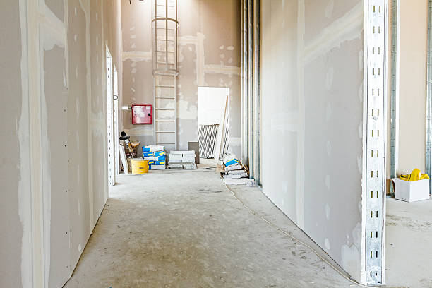 Best Industrial Mold Remediation  in Bernice, LA